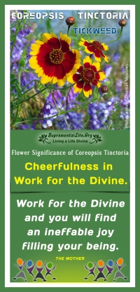 Work for the Divine 2.jpg